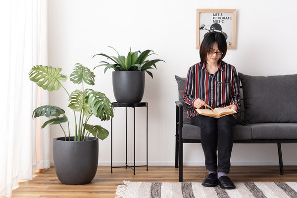 グリーンベース プランター 植物 植木鉢 ニュアンスカラー マット くすみカラー 植え込み おしゃれ お洒落 GRNB-211