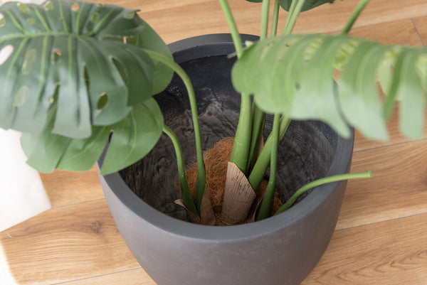 グリーンベース プランター 植物 植木鉢 ニュアンスカラー マット くすみカラー 植え込み おしゃれ お洒落 GRNB-211